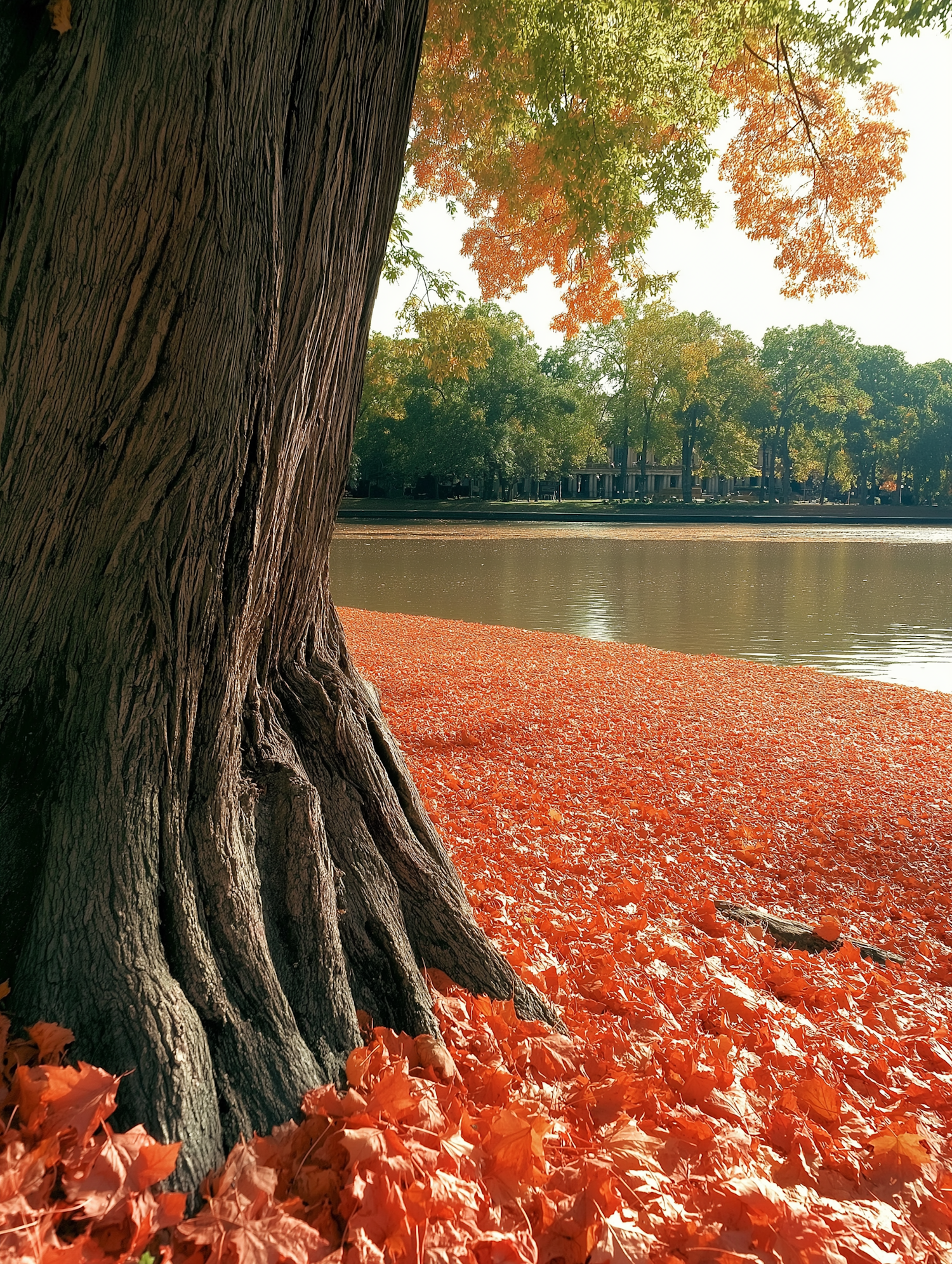 Autumn Tree by the Water