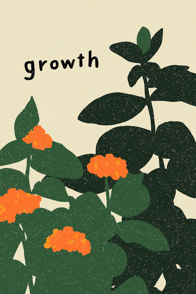 Stylized Plant Illustration