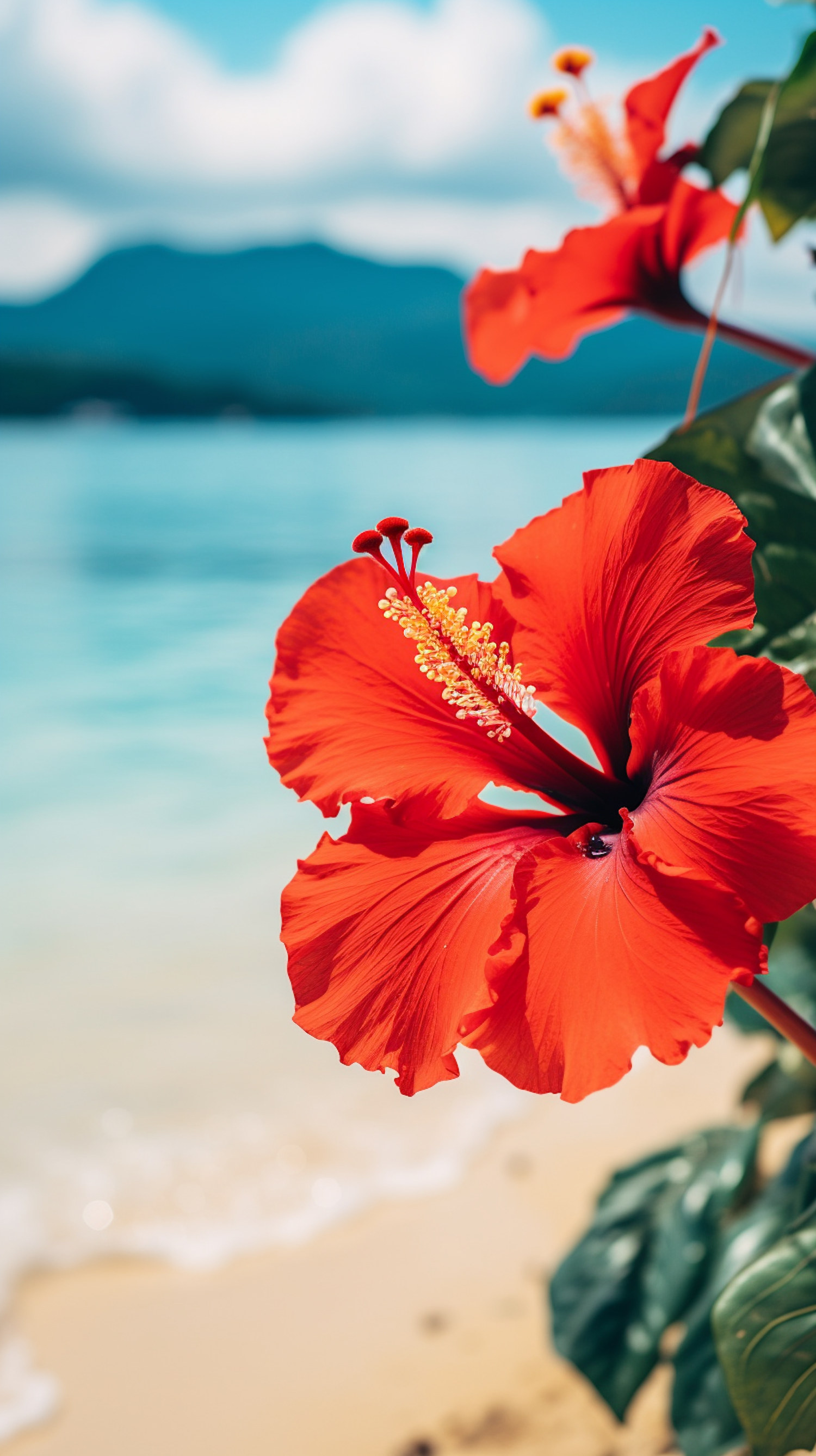 Serene Tropics: Vivid Hibiscus