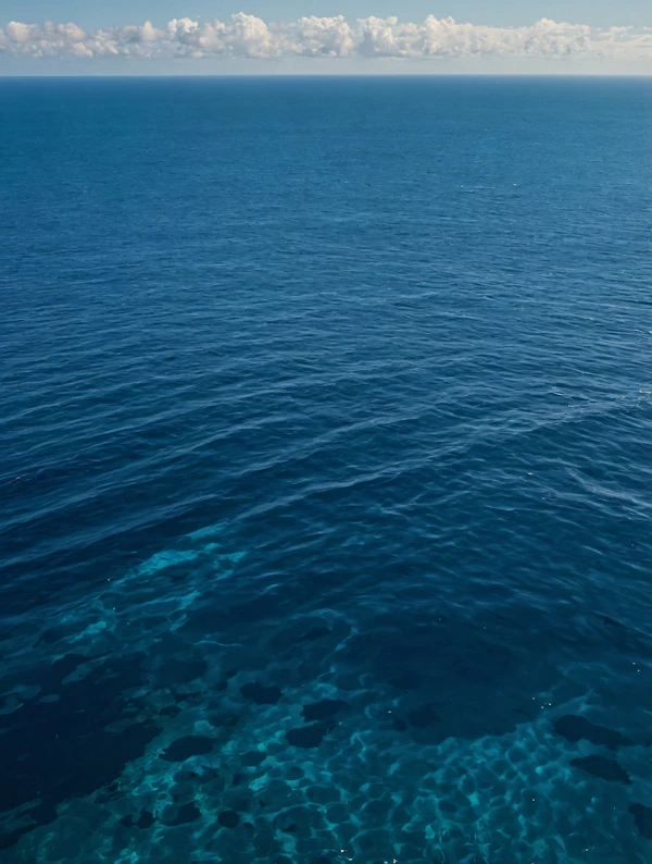Serene Ocean View