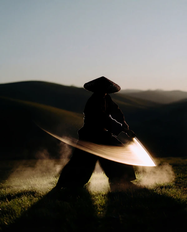 Martial Arts Silhouette