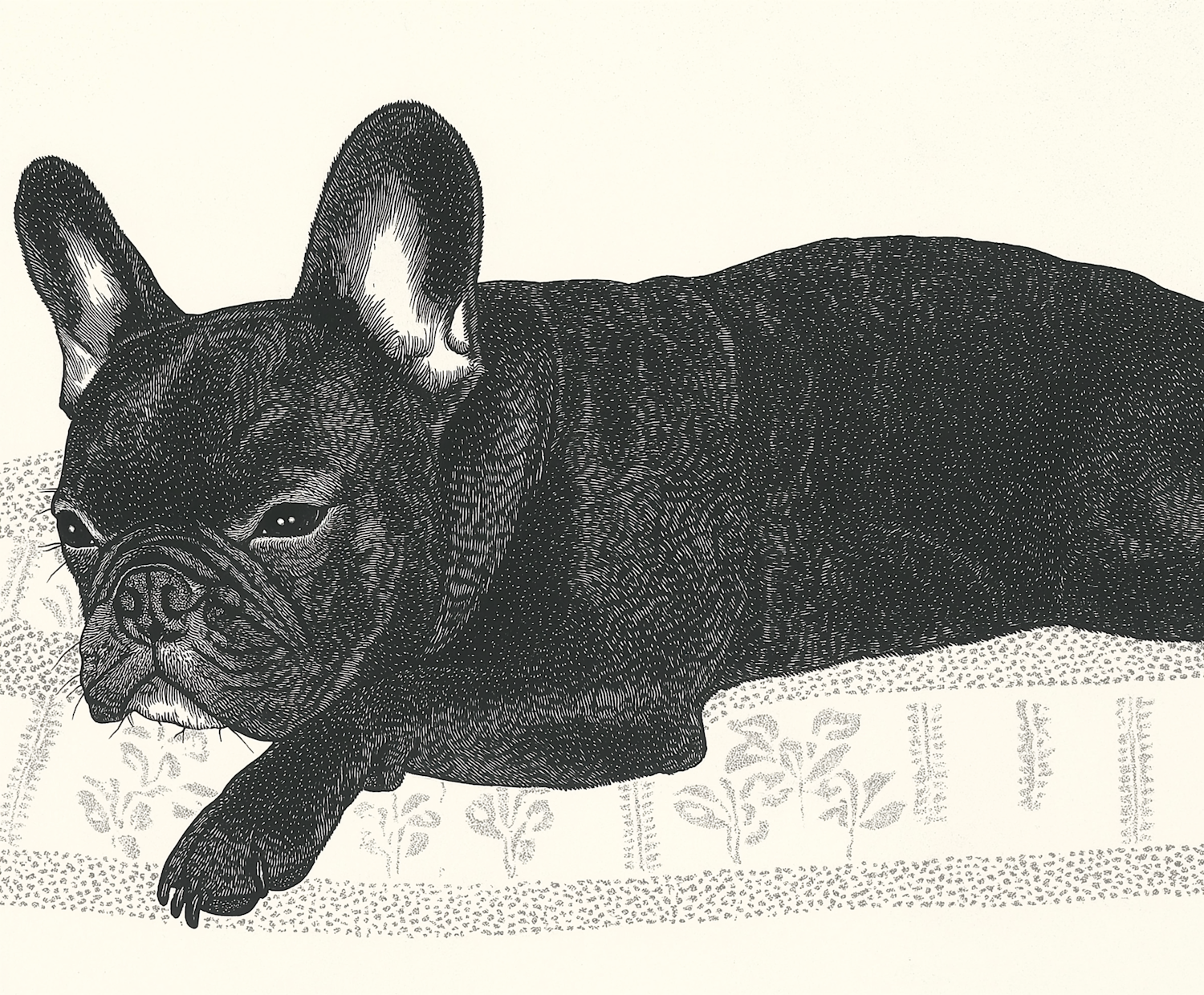 French Bulldog Illustration