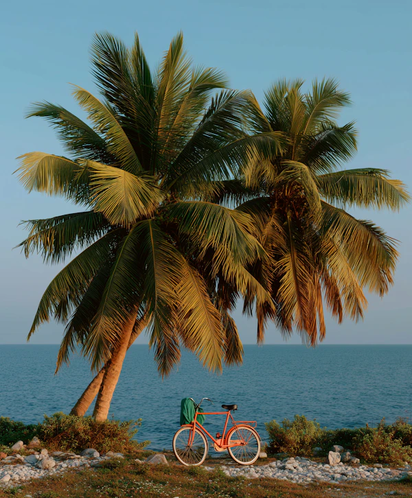 Tropical Coastal Scene