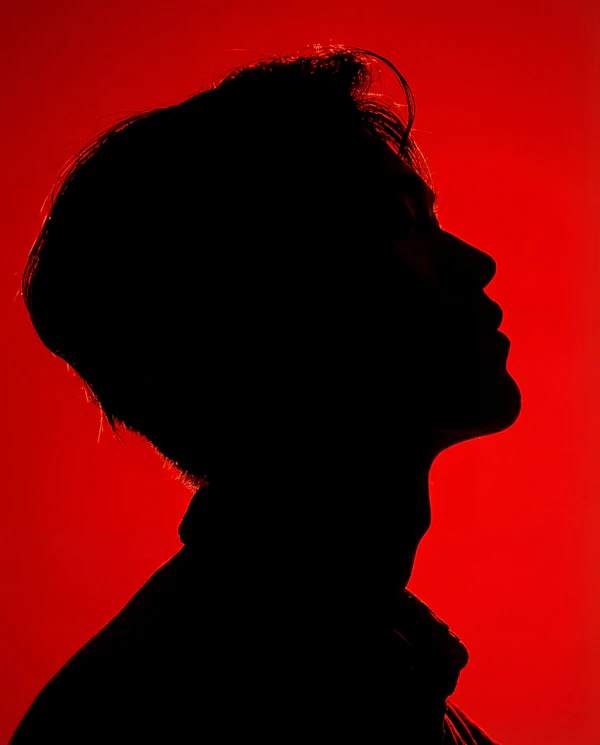 Silhouette in Red