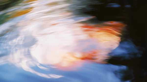Dreamy Abstract Colors