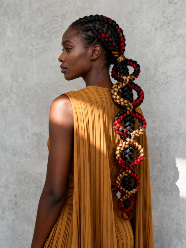 Elegant Braided Style