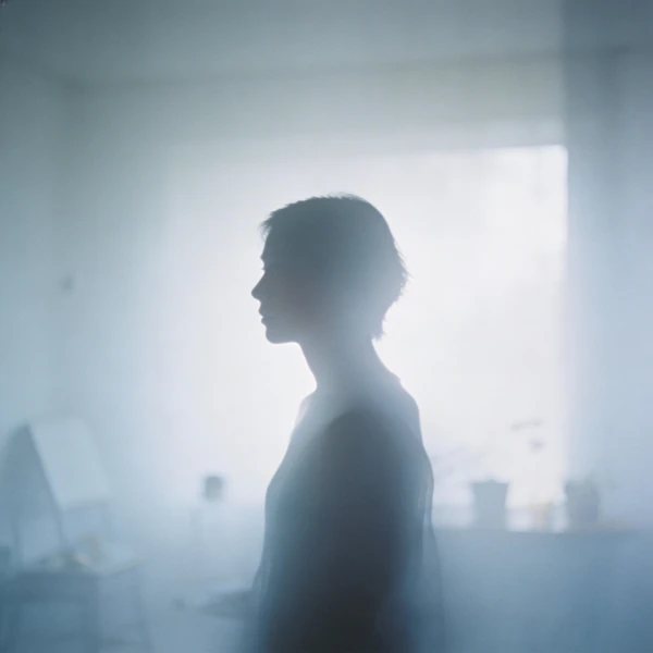Serene Silhouette Scene