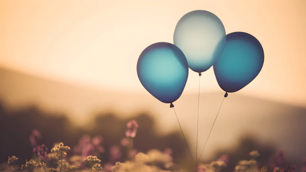 Blue Balloons Sunset