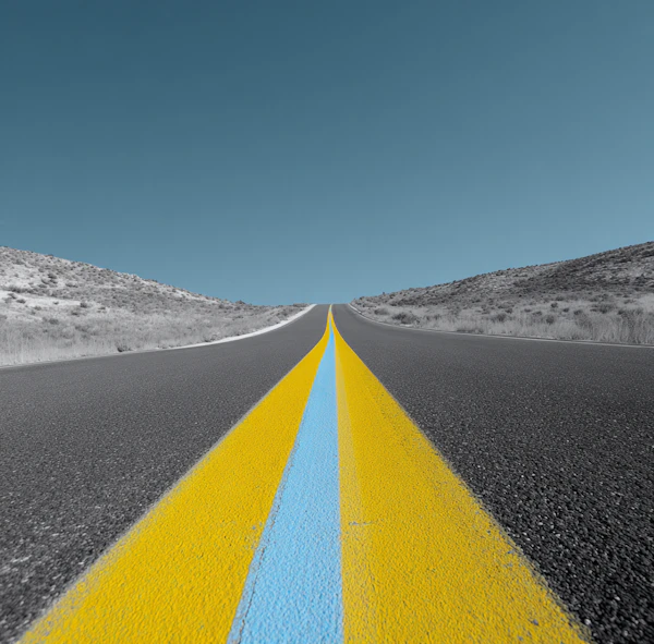 Desert Roadway Perspective