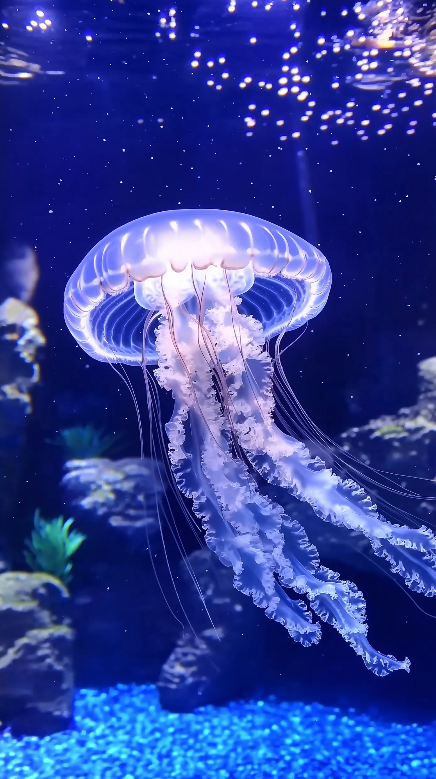 Ethereal Jellyfish In Aquatic Habitat