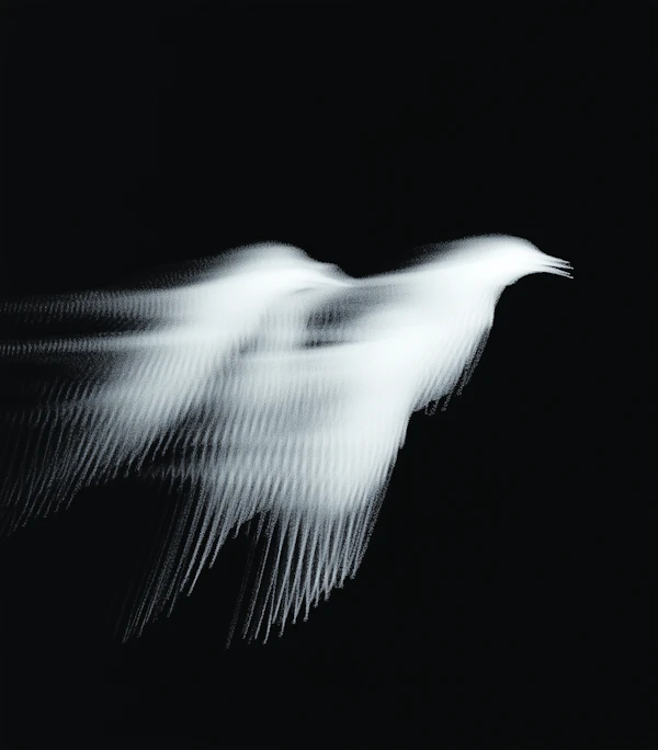 Bird in Motion