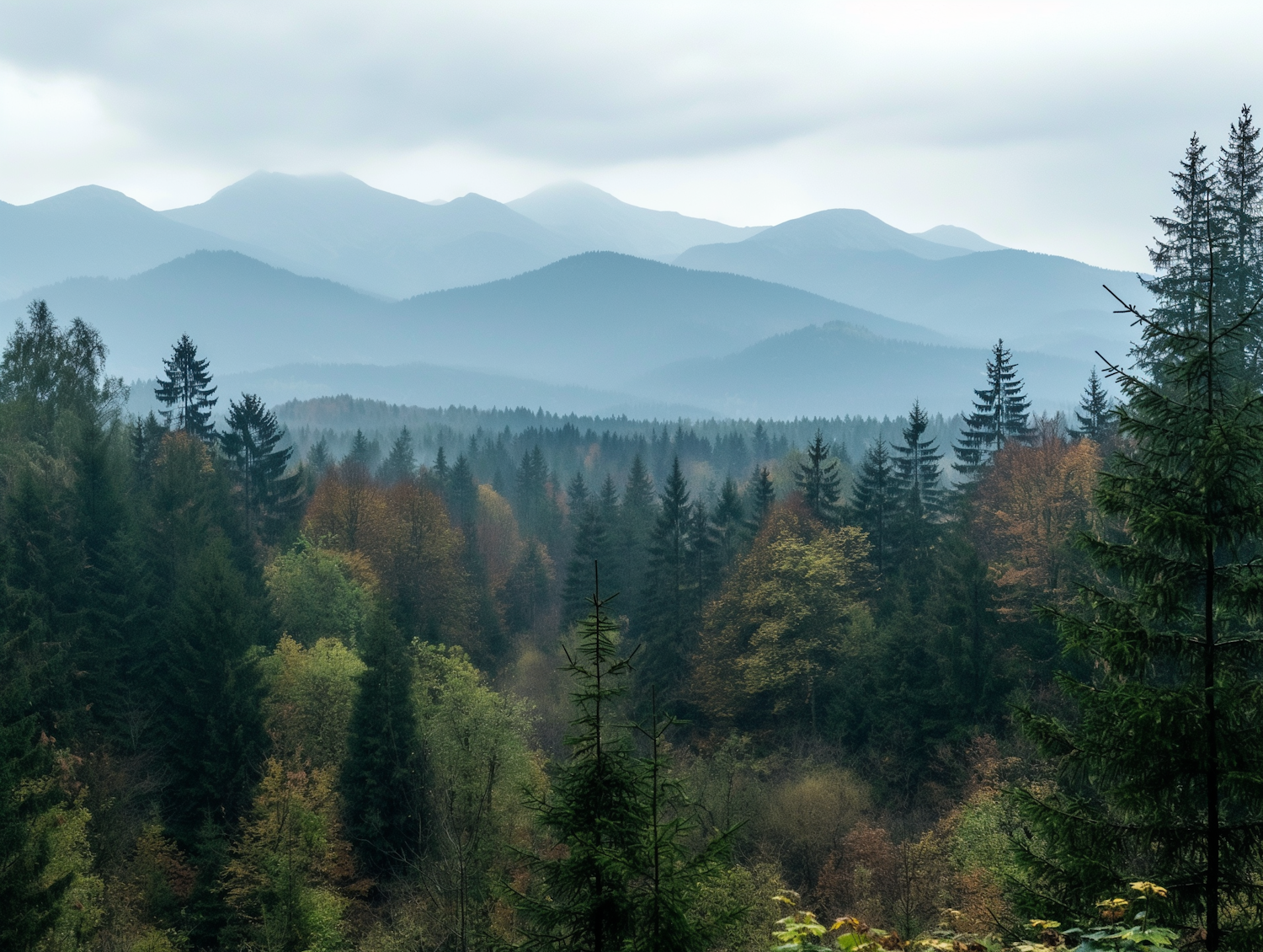 Tranquil Mountain Landscape