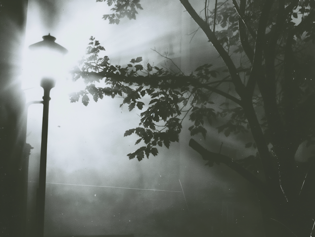 Misty Streetlight Scene