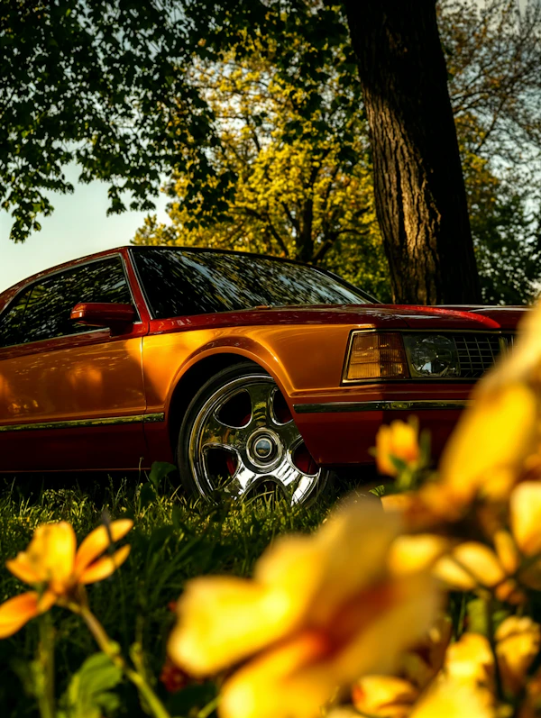 Vintage Orange Car Scene