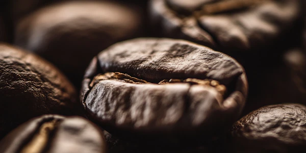 Close-up of Coffee Beans