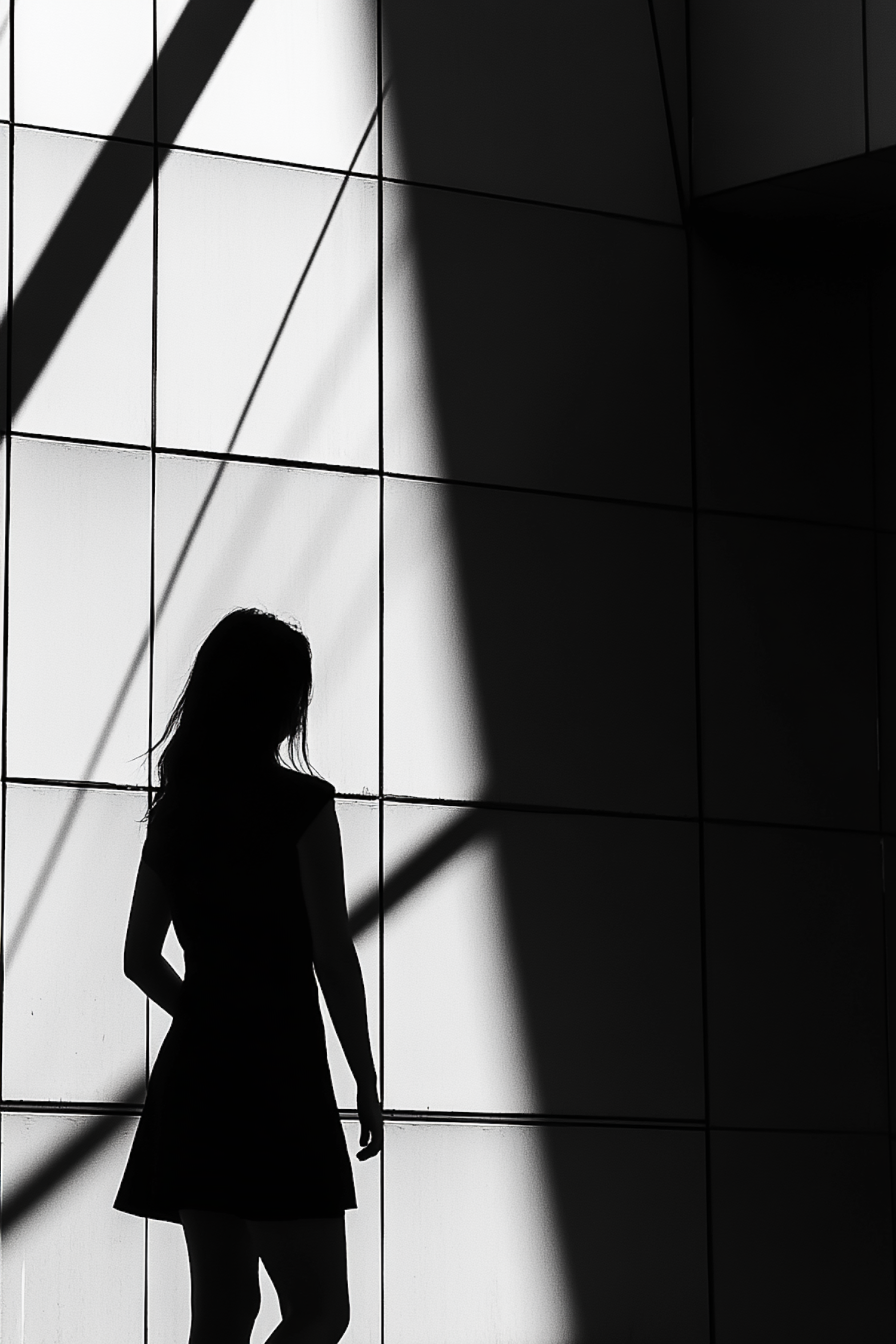 Silhouette Against Geometric Panels