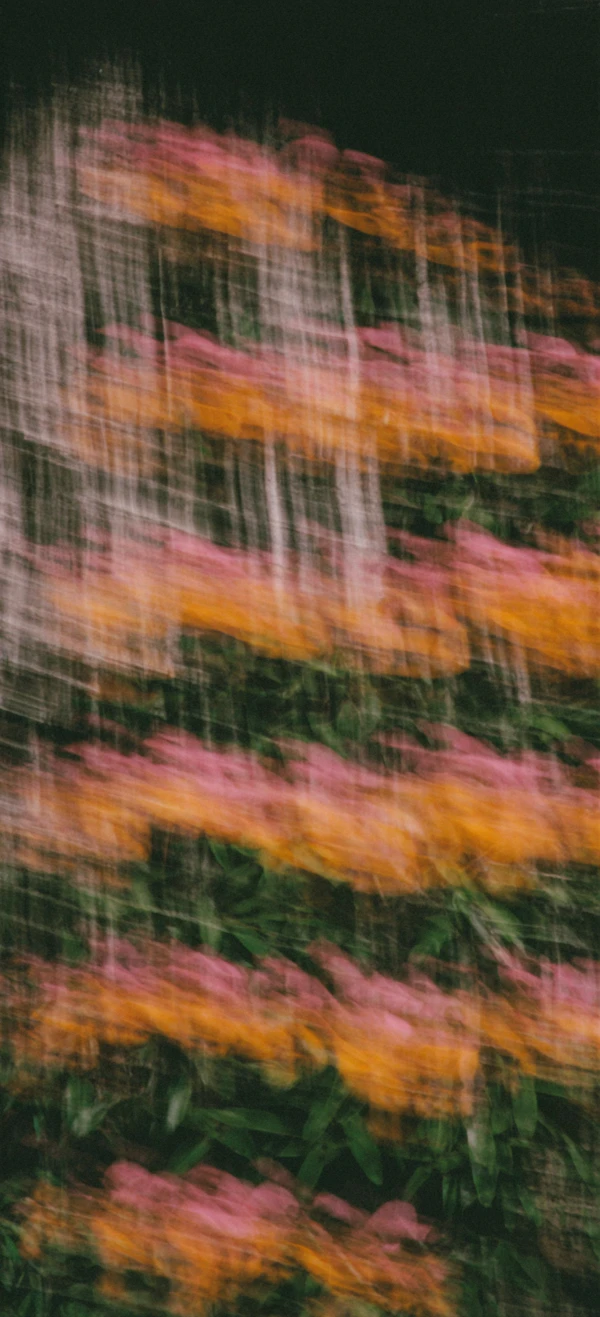 Vibrant Motion Abstract