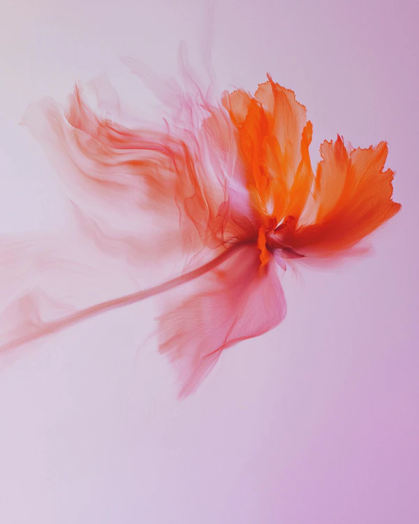Abstract Flower Art