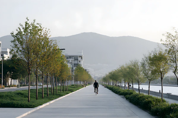Cyclist in Urban Serenity