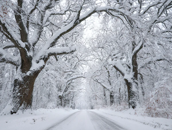 Snowy Winter Road