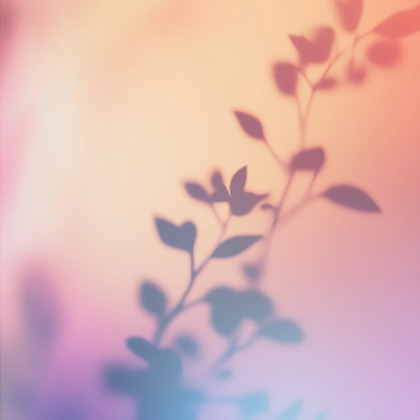 Plant Shadow Silhouette