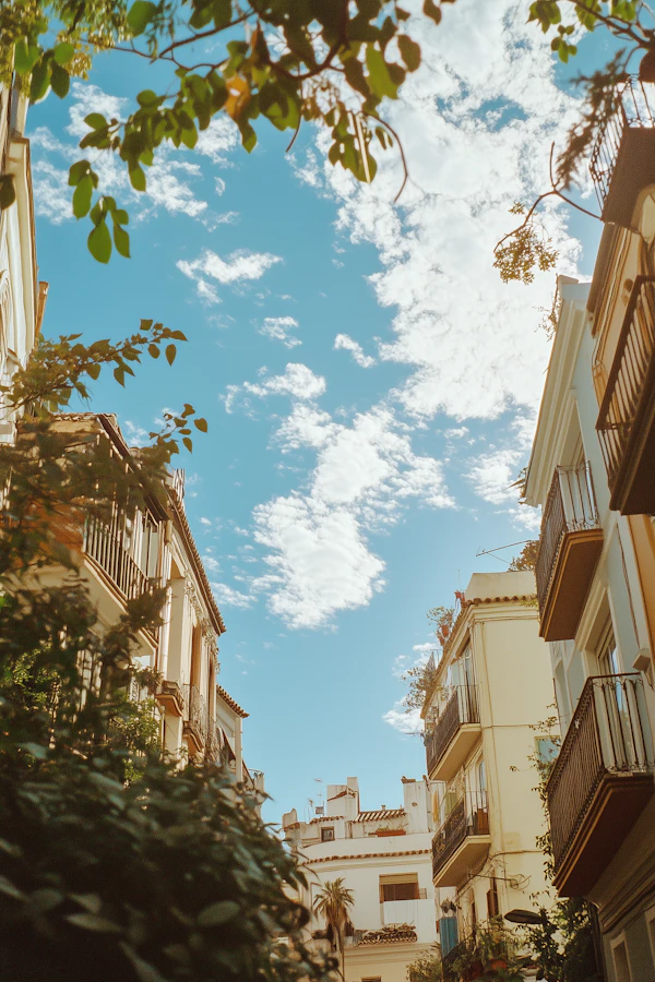 Urban Serenity