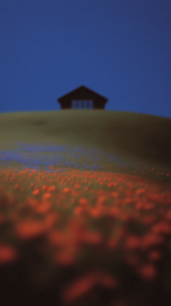 Hilltop Serenity