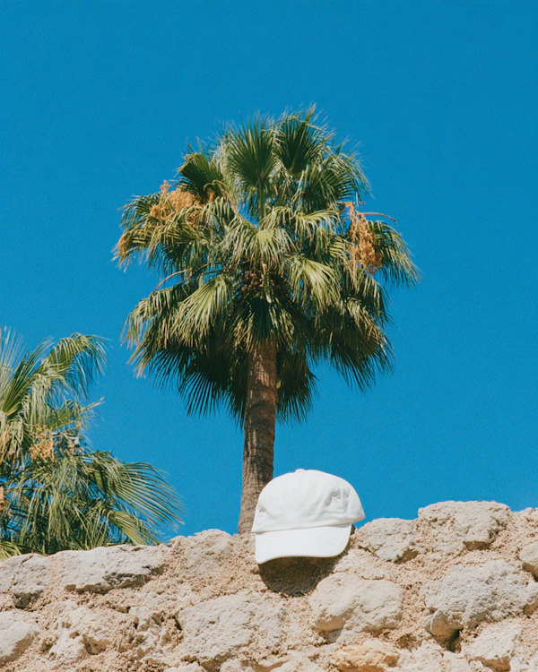 Tropical Cap on Wall