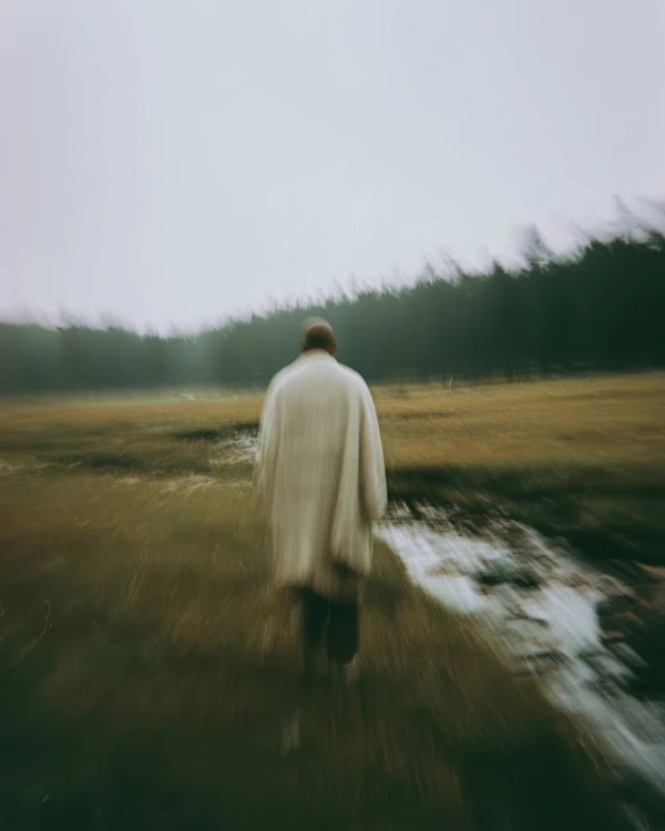 Blurred Forest Walk