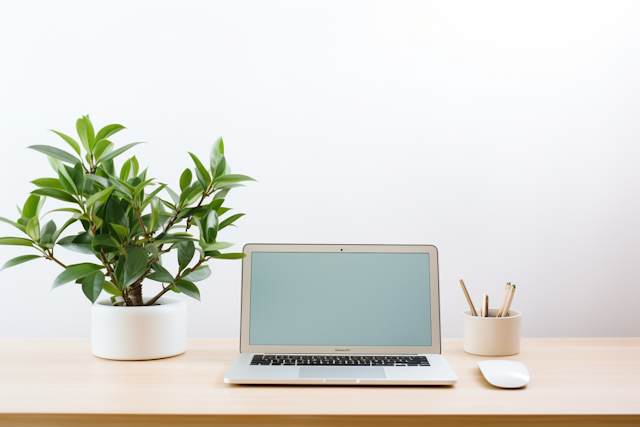 Minimalistic Workstation with Laptop and Green Plant