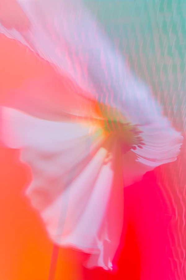 Dreamy Abstract Flower