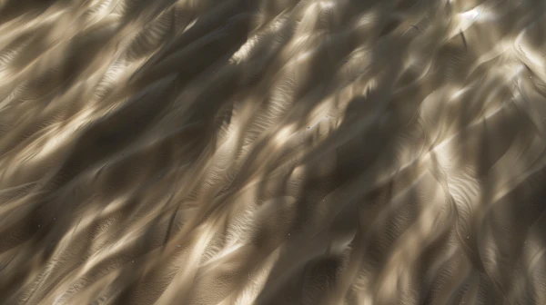 Sand Ripple Patterns