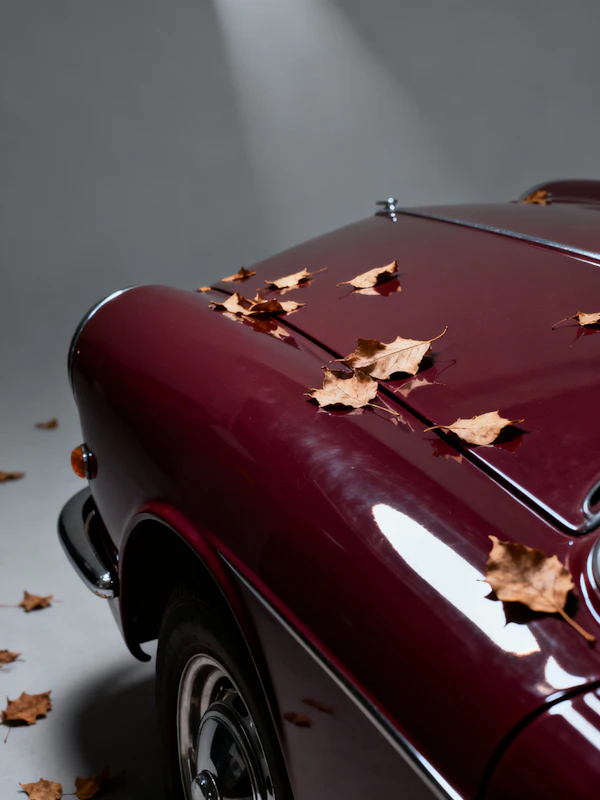 Vintage Car with Leaves