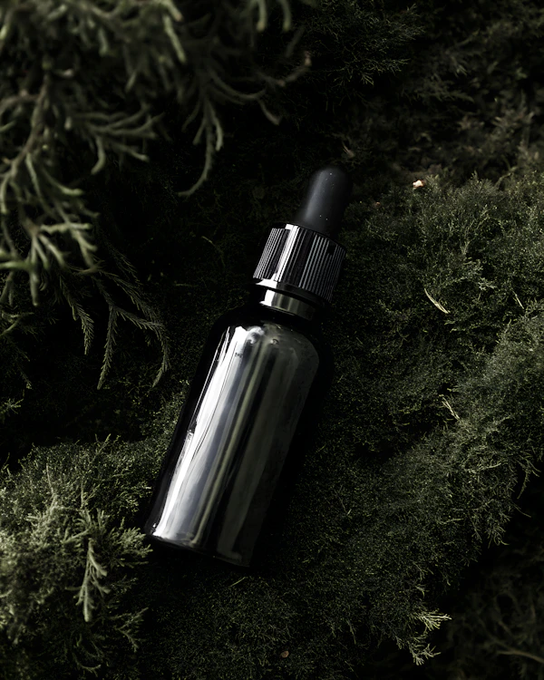 Black Dropper on Moss