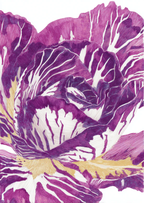 Vibrant Purple Flower