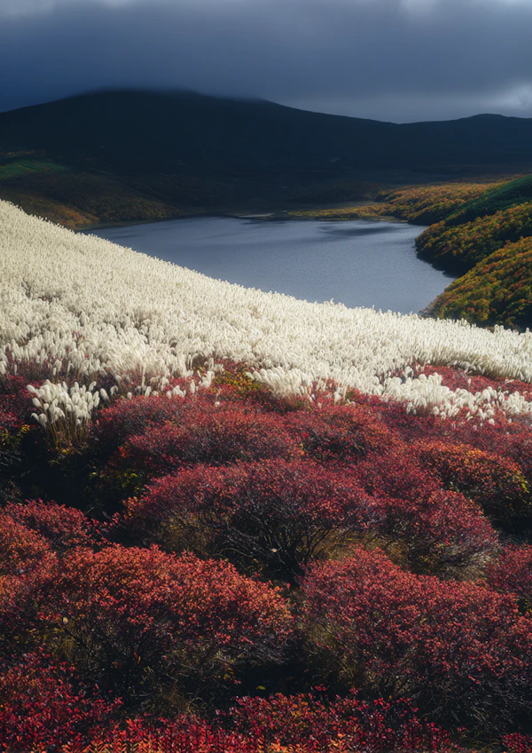 Autumnal Landscape Scene