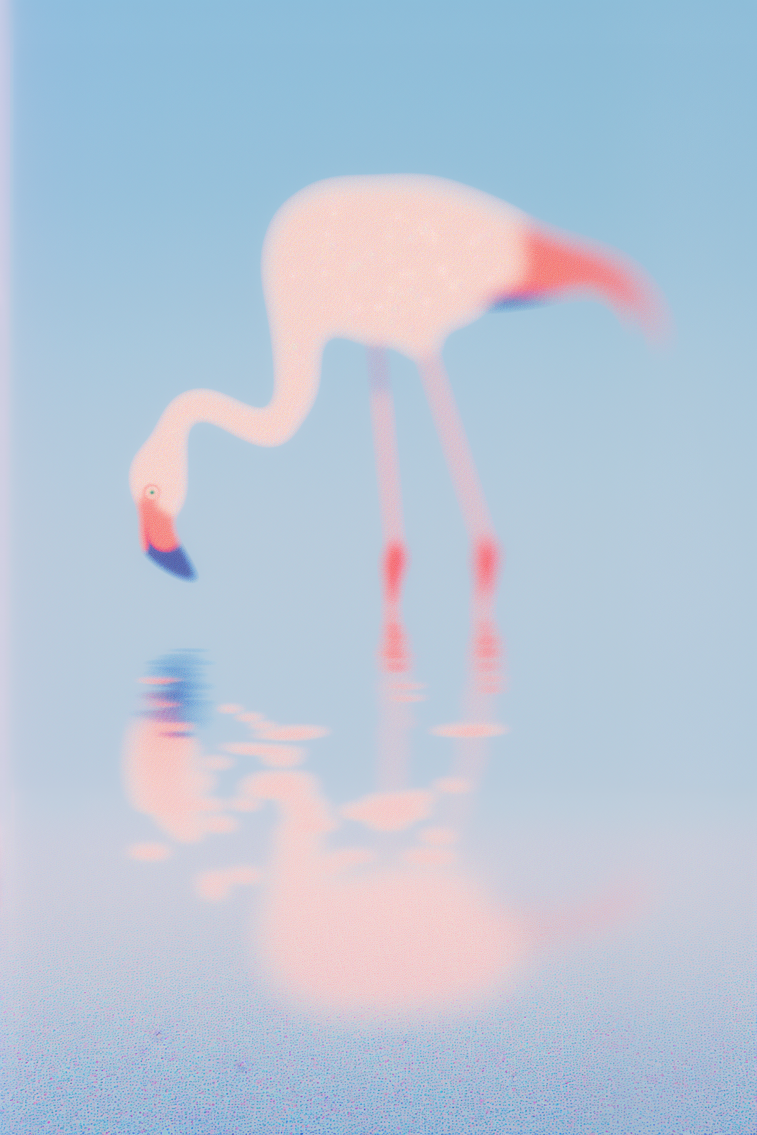 Stylized Flamingo Reflection