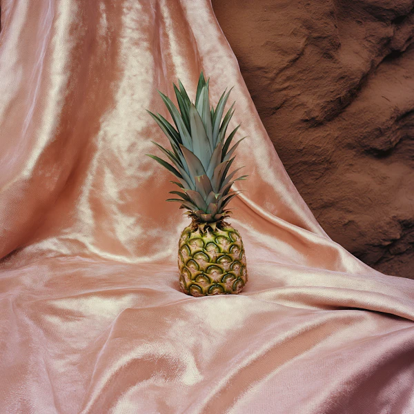 Pineapple on Silky Fabric