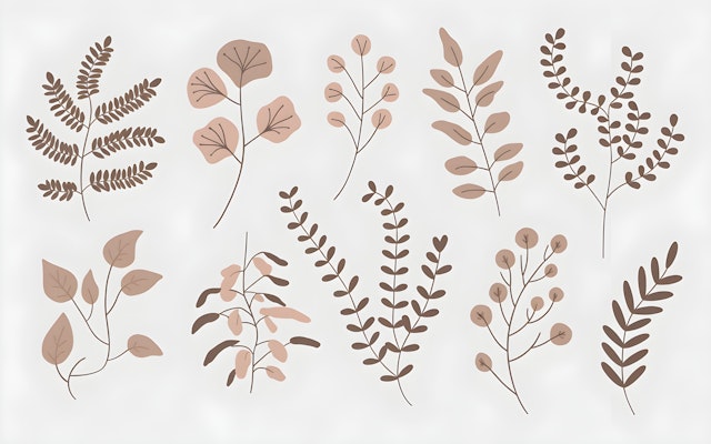 Stylized Botanical Illustrations