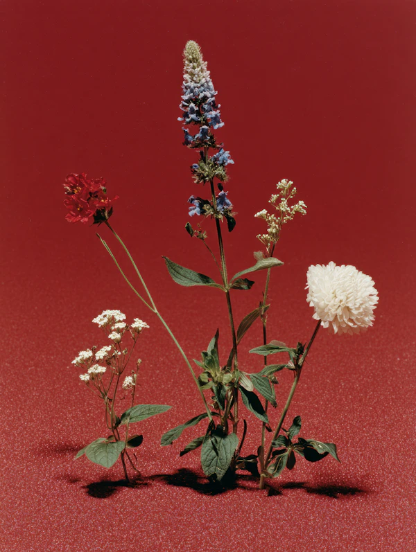 Vibrant Floral Display