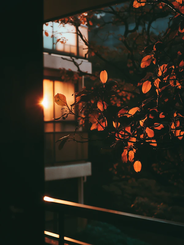 Autumn Glow Scene