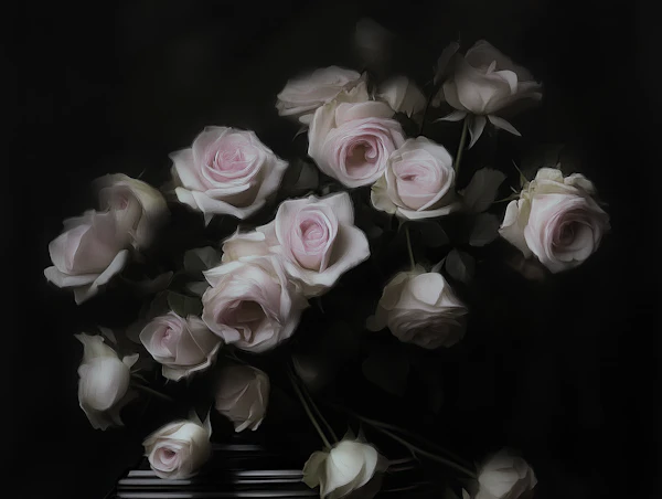 Moody Pink Roses