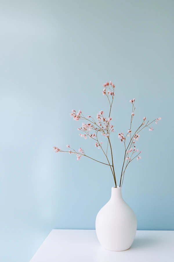 Minimalist Vase Scene