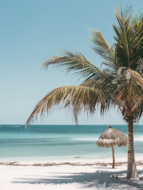 Serene Beach Scene