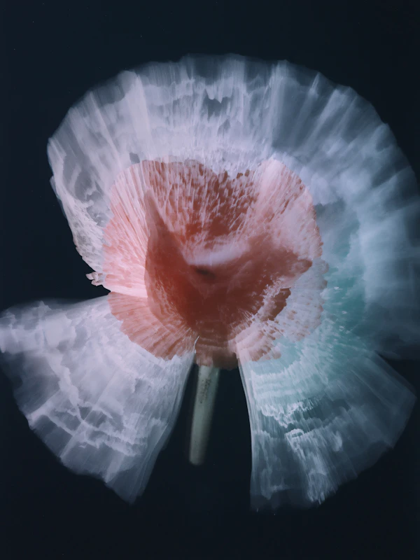 Ethereal Floral Design