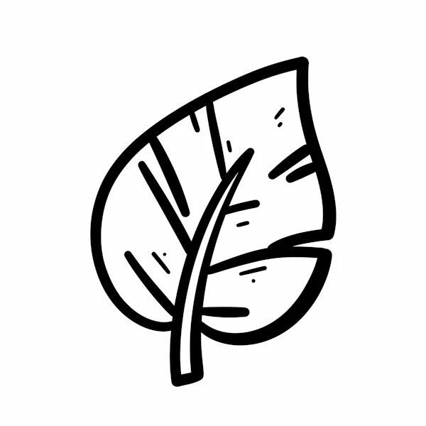 Stylized Leaf Design