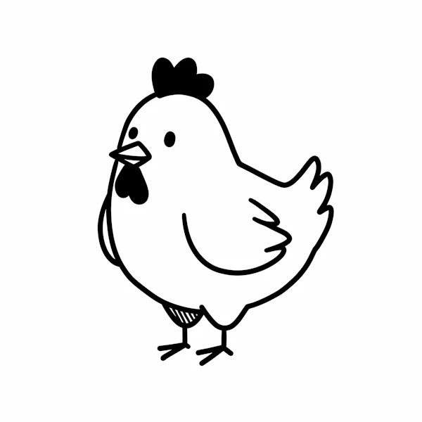 Cartoon Chicken Drawing