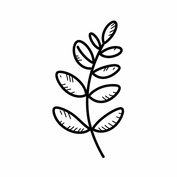 Minimalist Plant Drawing