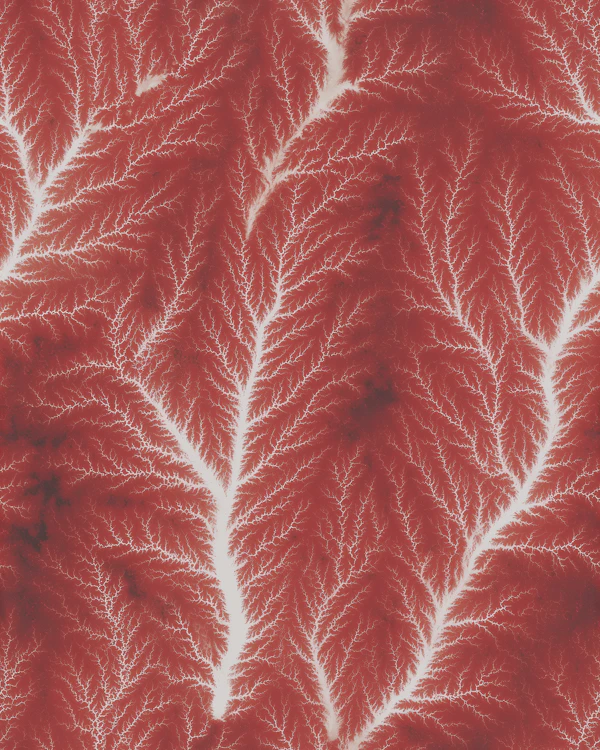 Abstract Dendritic Pattern