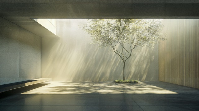 Minimalist Zen Courtyard